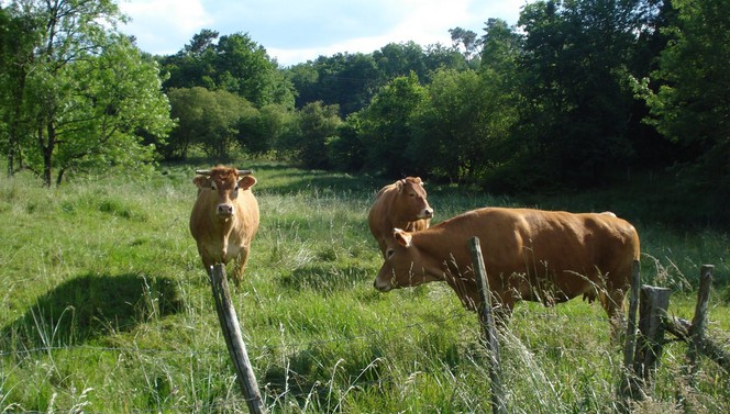 schoene Landschaft zum Wandern